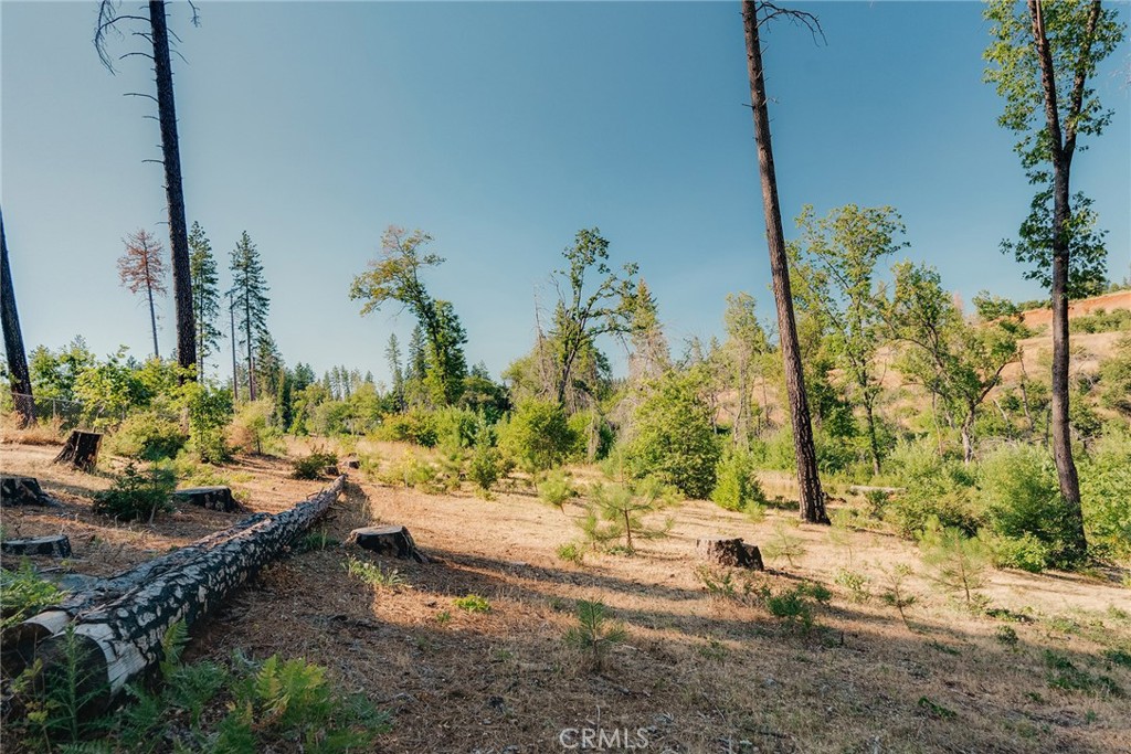 1837 Clear Brook Lane Property Photo 25