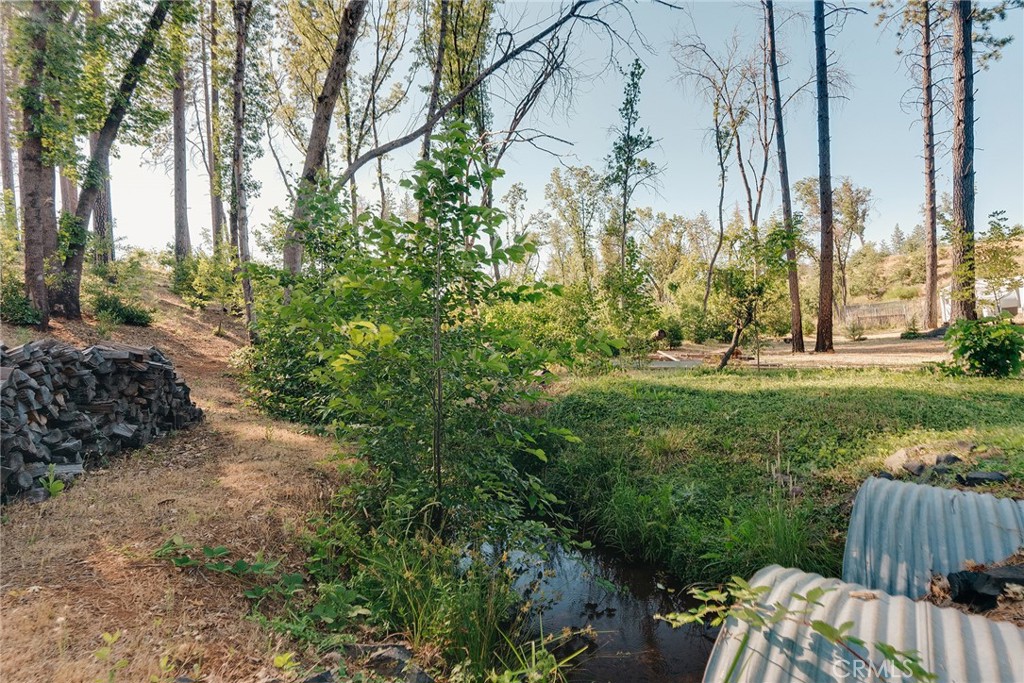 1837 Clear Brook Lane Property Photo 28
