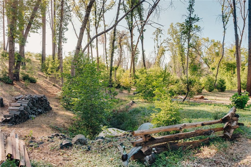 1837 Clear Brook Lane Property Photo 29