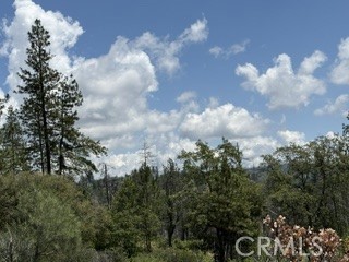 0 Feather Ridge Property Photo 1