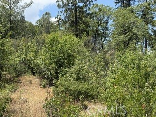 0 Feather Ridge Property Photo 2