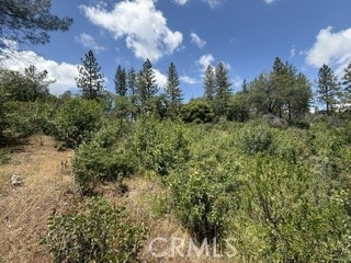 0 Feather Ridge Property Photo 4