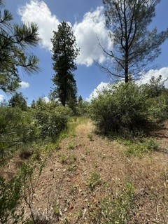 0 Feather Ridge Property Photo 5
