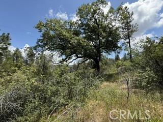 0 Feather Ridge Property Photo 6