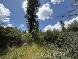 0 Feather Ridge Property Photo 7