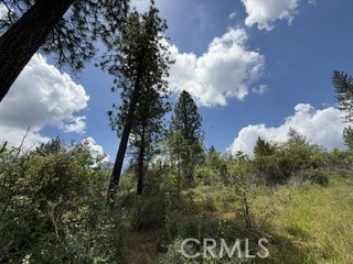0 Feather Ridge Property Photo 8