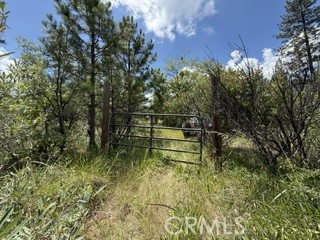 0 Feather Ridge Property Photo 9