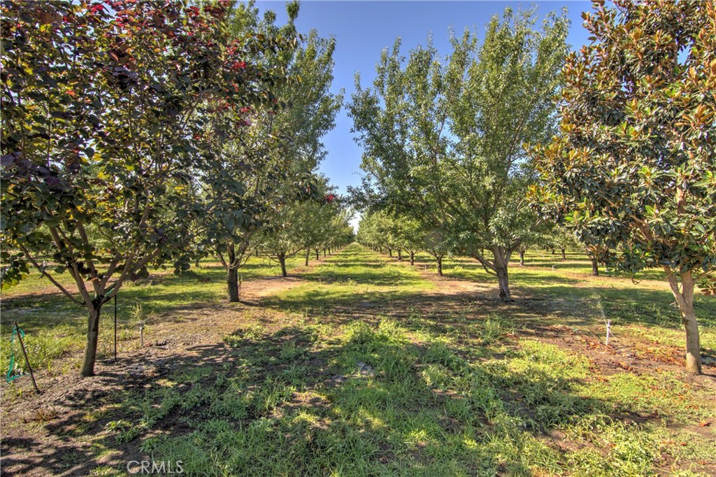 8176 County Road 44 Property Photo 52