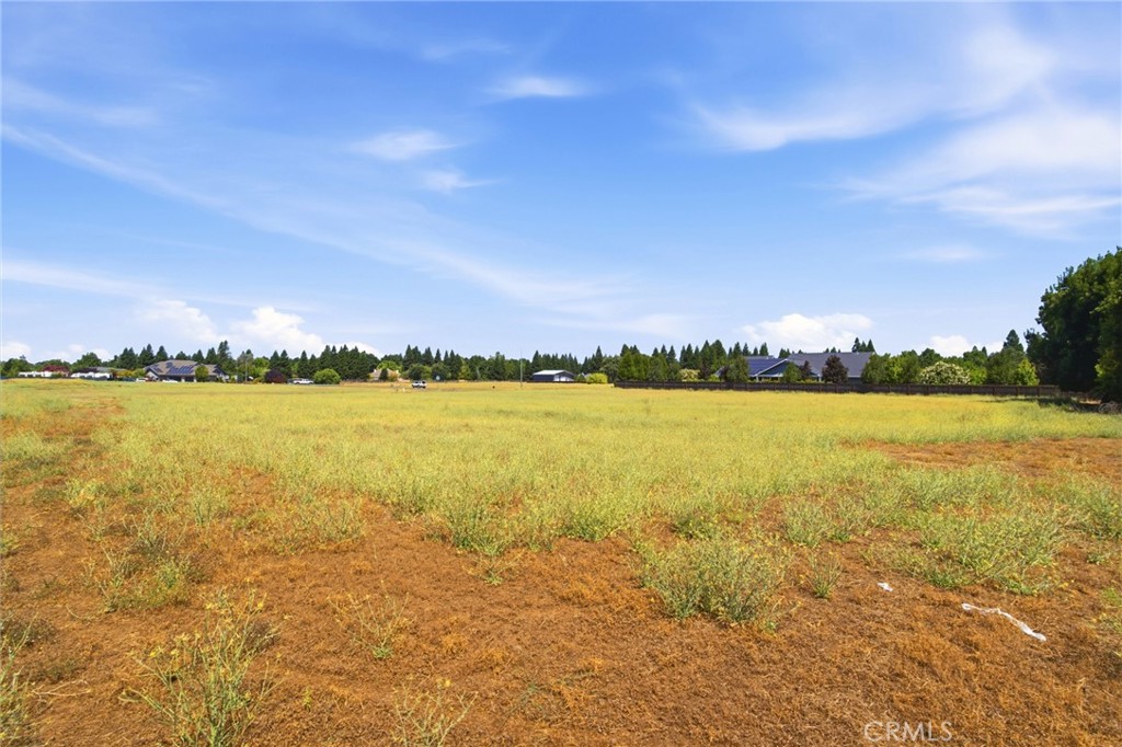 13950 Persimmon Lane Property Photo 8