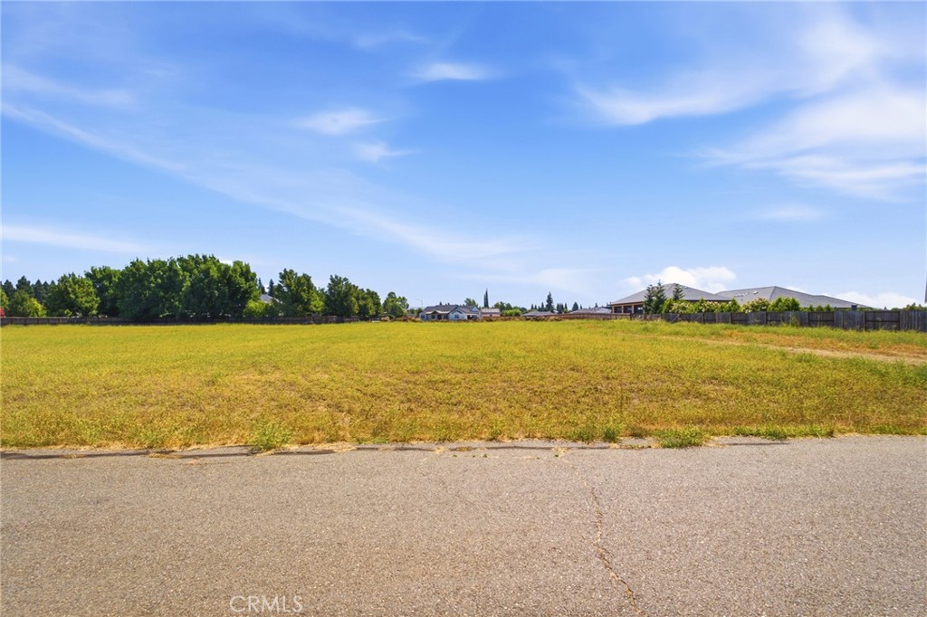 13950 Persimmon Lane Property Photo 10