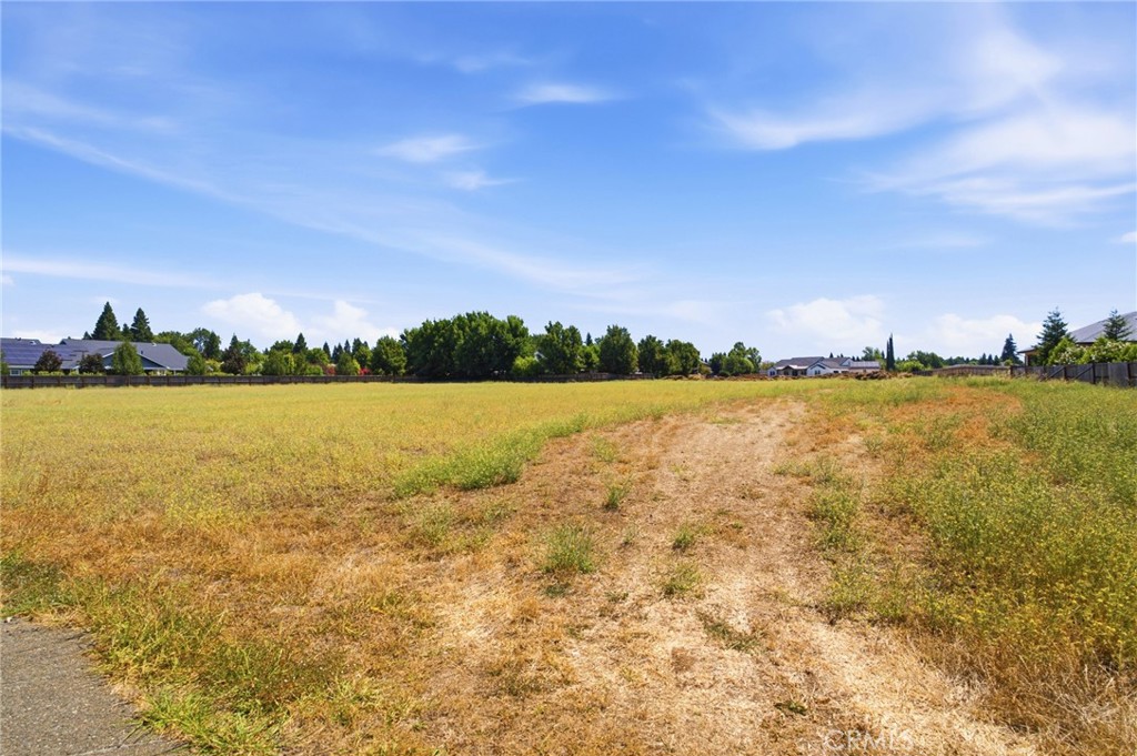 13950 Persimmon Lane Property Photo 11