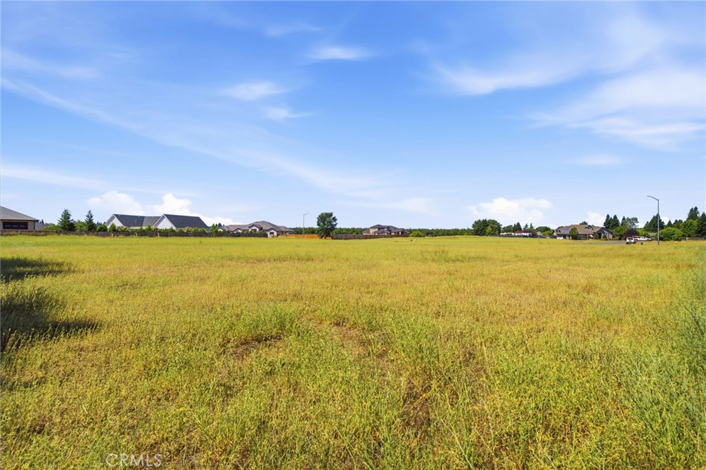 13960 Persimmon Lane Property Photo 8