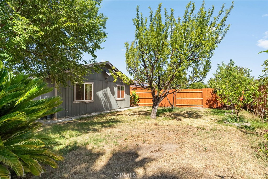 1033 Date Street Property Photo 37