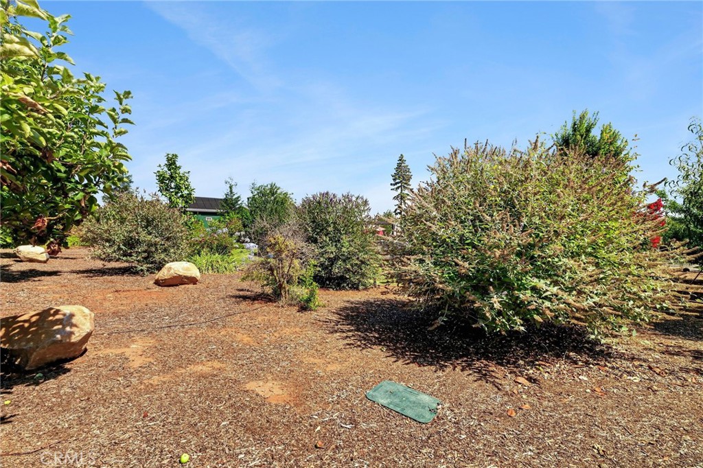 6226 Graham Property Photo 64