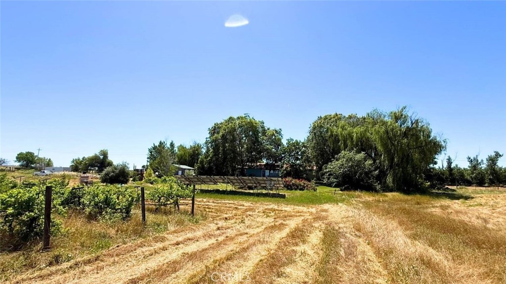 5438 Cana Property Photo 44