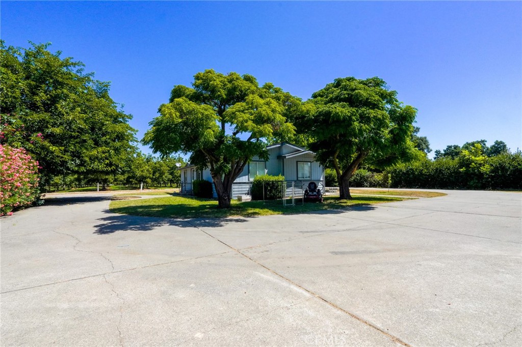 13742 Trinity Property Photo 26