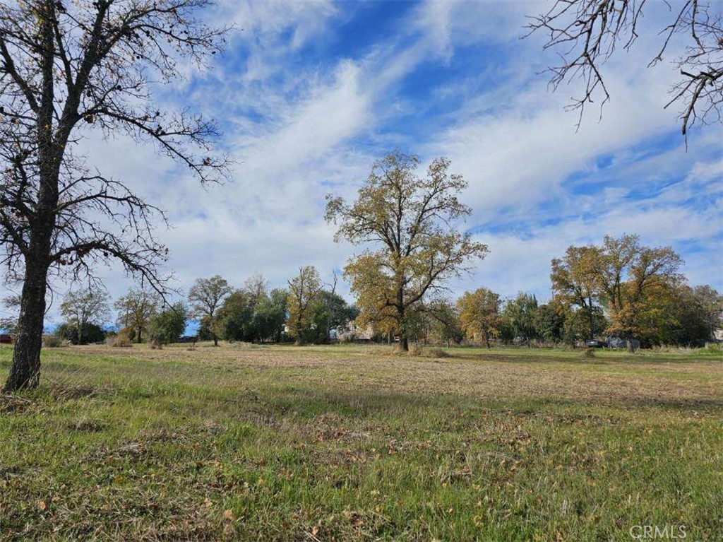 123 Edgemont Drive Property Photo 3