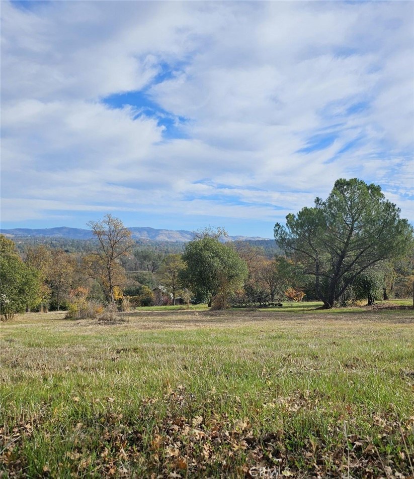 123 Edgemont Drive Property Photo 4