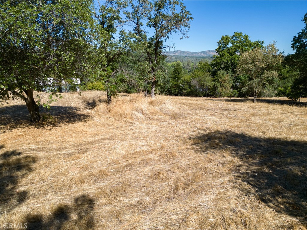 123 Edgemont Drive Property Photo 10