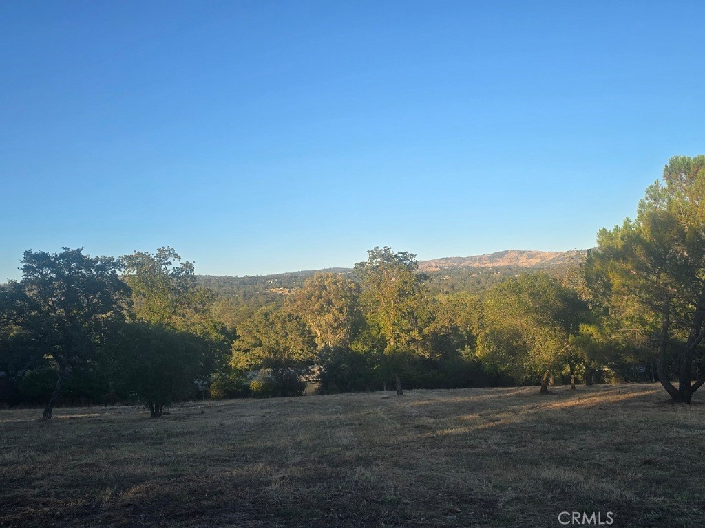 123 Edgemont Drive Property Photo 11