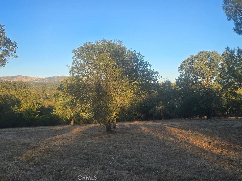 123 Edgemont Drive Property Photo 12