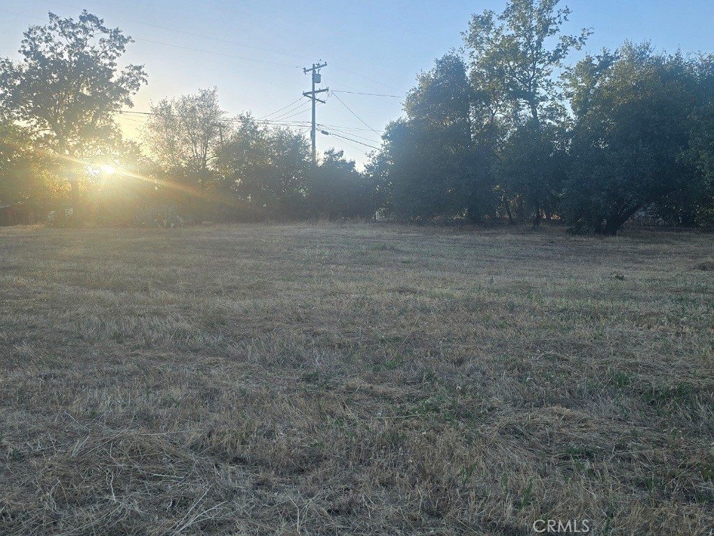 123 Edgemont Drive Property Photo 13