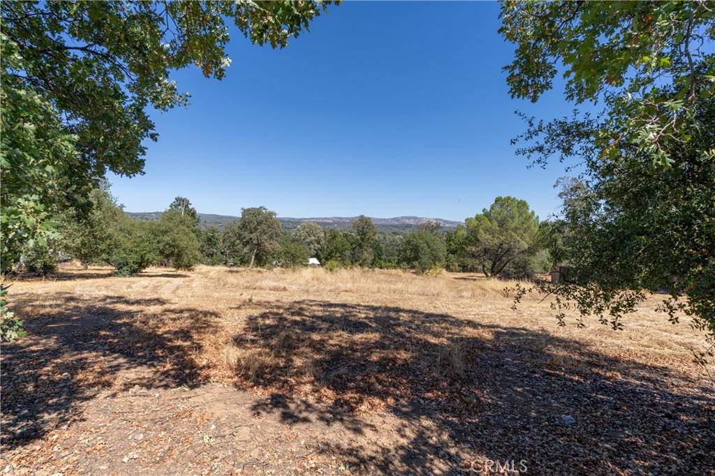 123 Edgemont Drive Property Photo 14