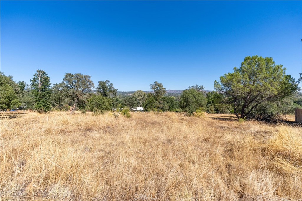 123 Edgemont Drive Property Photo 16