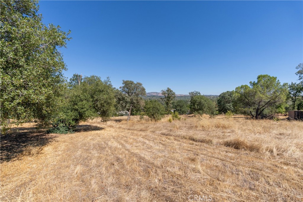 123 Edgemont Drive Property Photo 17