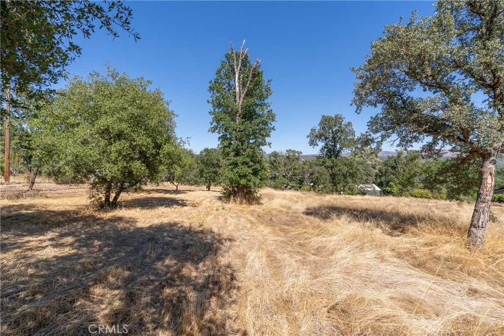 123 Edgemont Drive Property Photo 18