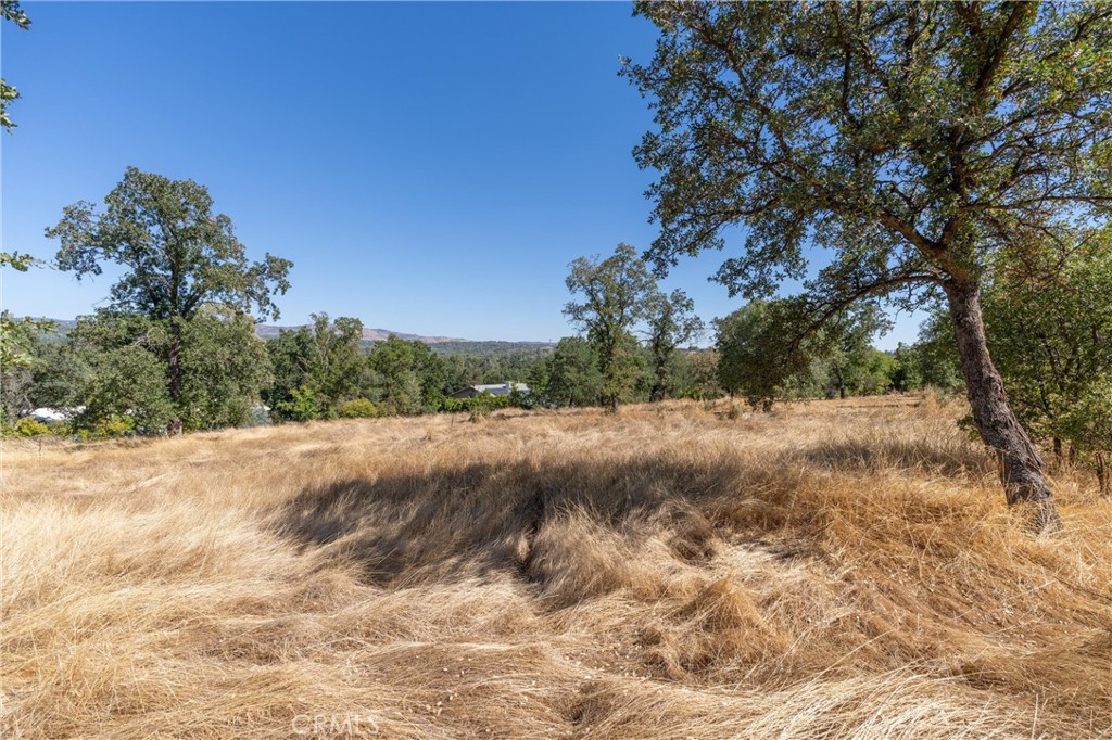 123 Edgemont Drive Property Photo 19