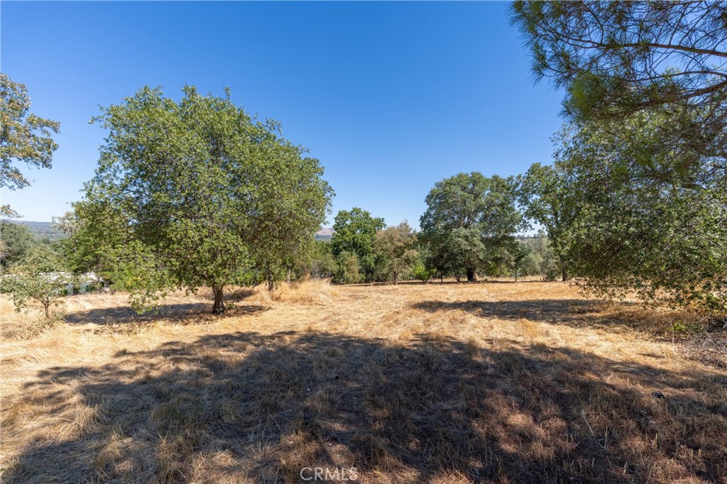 123 Edgemont Drive Property Photo 20
