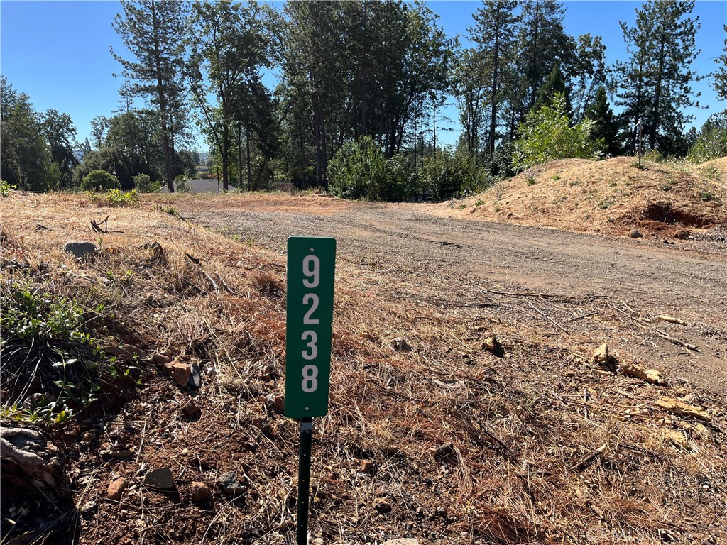 9238 Skyway Road Property Photo 1