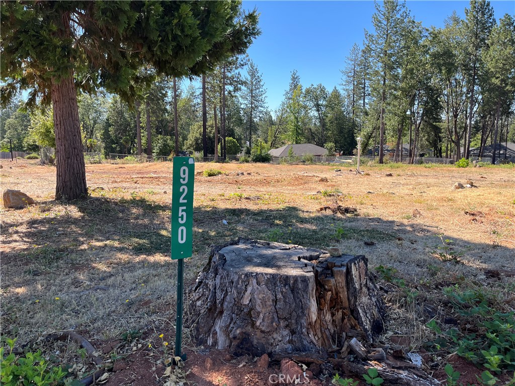 9250 Skyway Road Property Photo 1