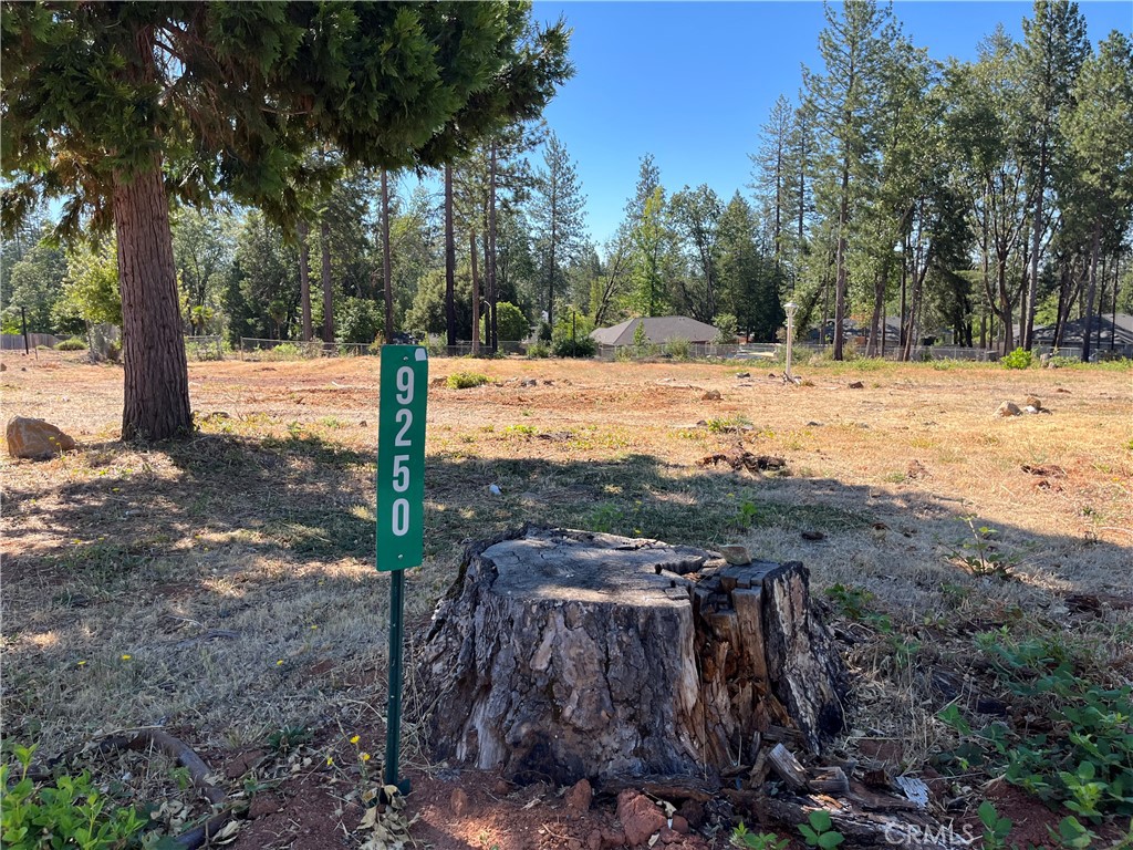 9250 Skyway Road Property Photo 1