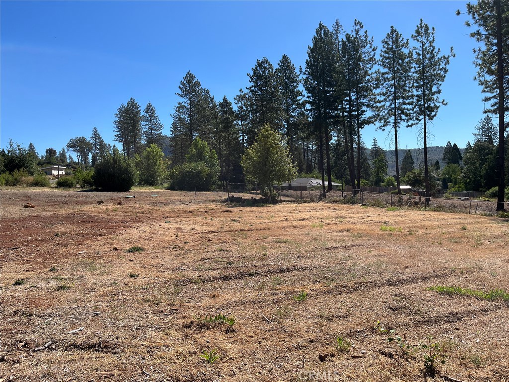 9250 Skyway Road Property Photo 2