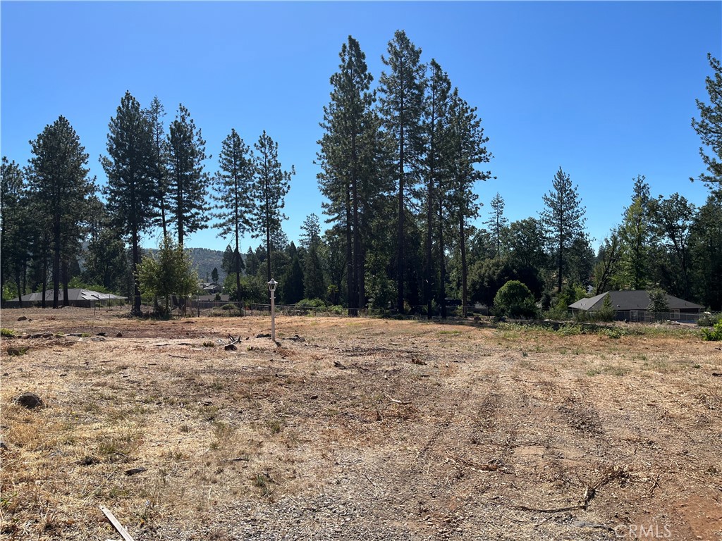 9250 Skyway Road Property Photo 3