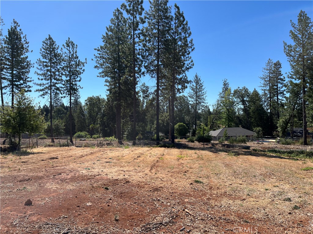 9250 Skyway Road Property Photo 5