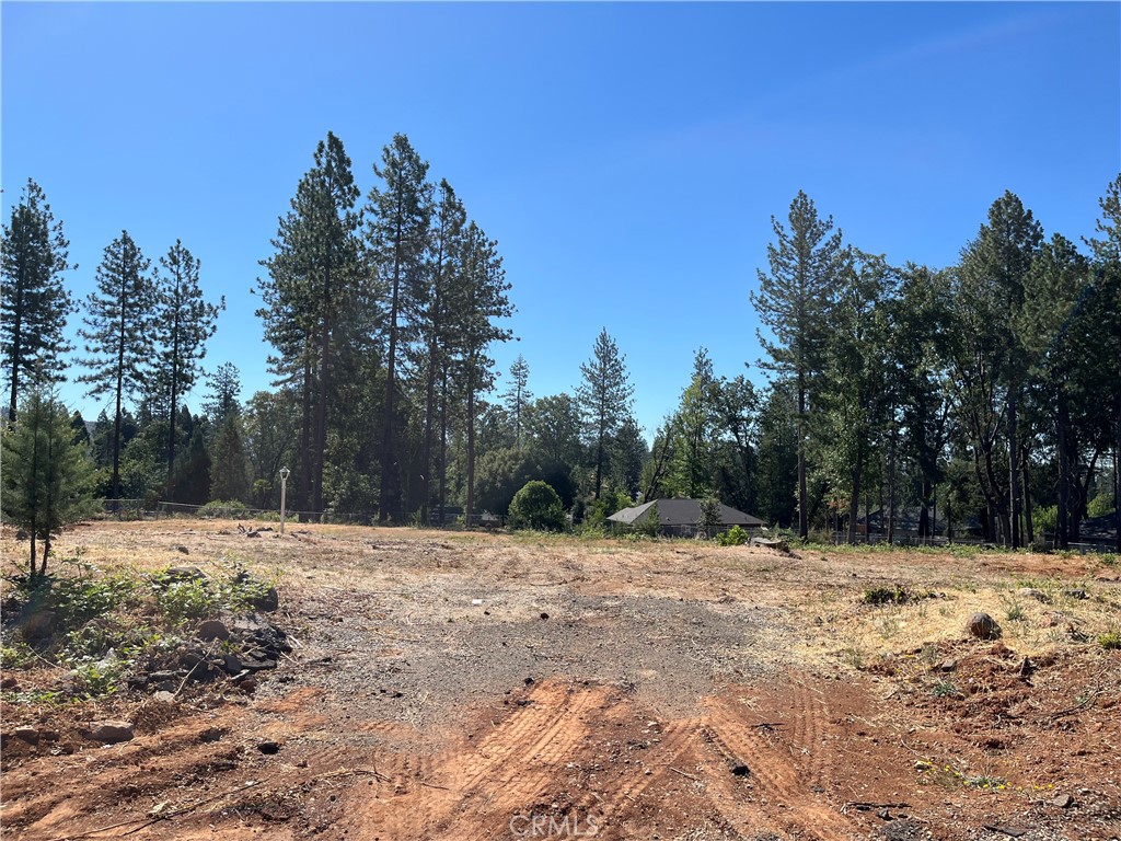 9250 Skyway Road Property Photo 6