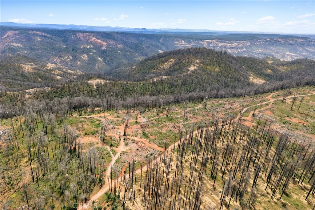 335 Mann And Nolta Ridge Property Photo 2