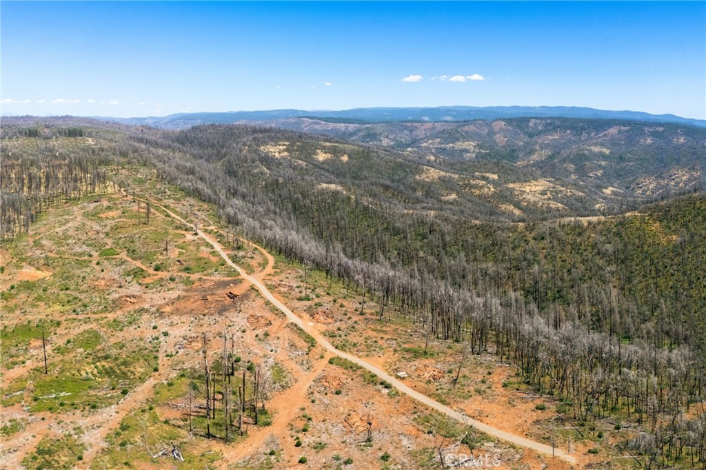 335 Mann And Nolta Ridge Property Photo 4