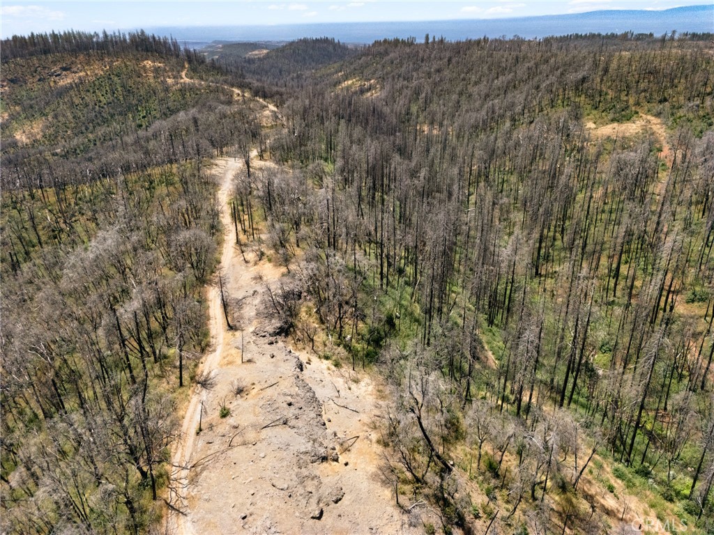 335 Mann And Nolta Ridge Property Photo 5