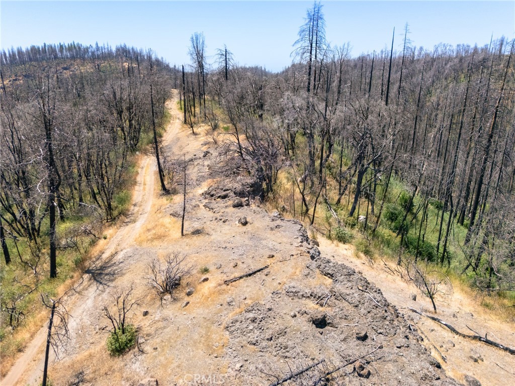335 Mann And Nolta Ridge Property Photo 6
