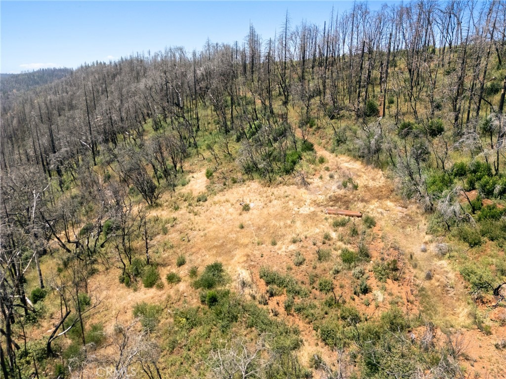 335 Mann And Nolta Ridge Property Photo 8