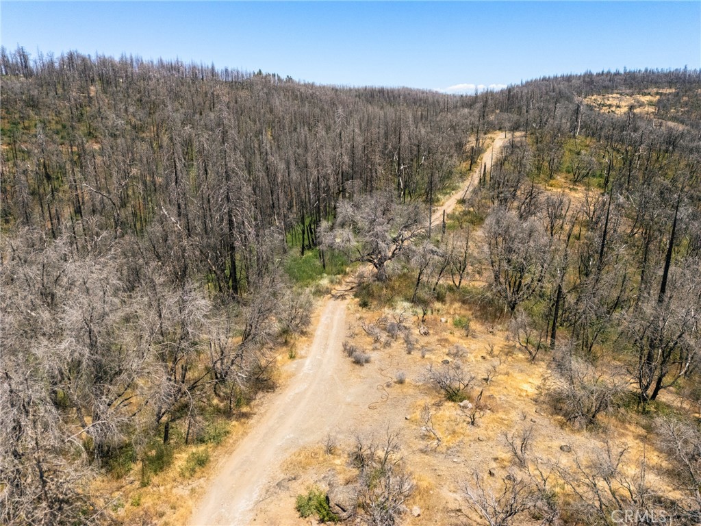 335 Mann And Nolta Ridge Property Photo 10