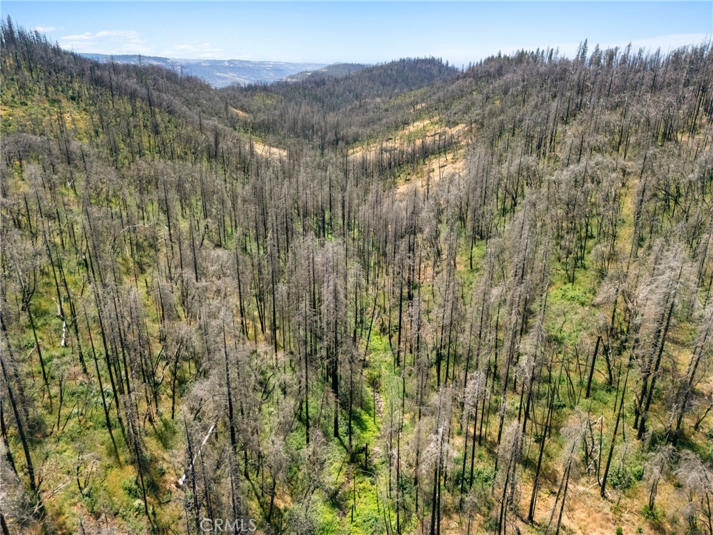 335 Mann And Nolta Ridge Property Photo 11