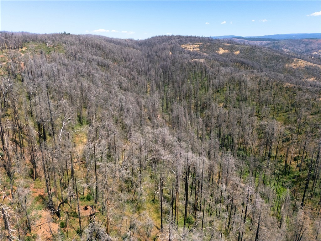 335 Mann And Nolta Ridge Property Photo 12