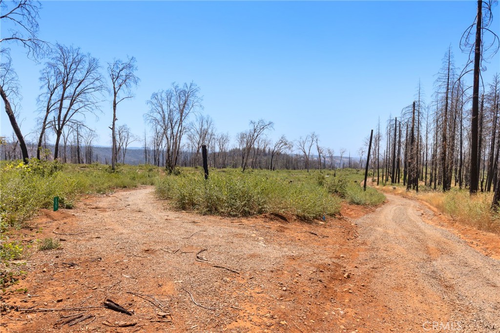 335 Mann And Nolta Ridge Property Photo 13
