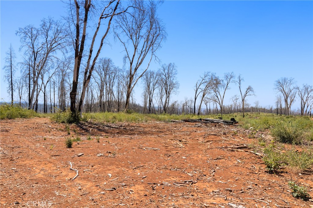 335 Mann And Nolta Ridge Property Photo 15