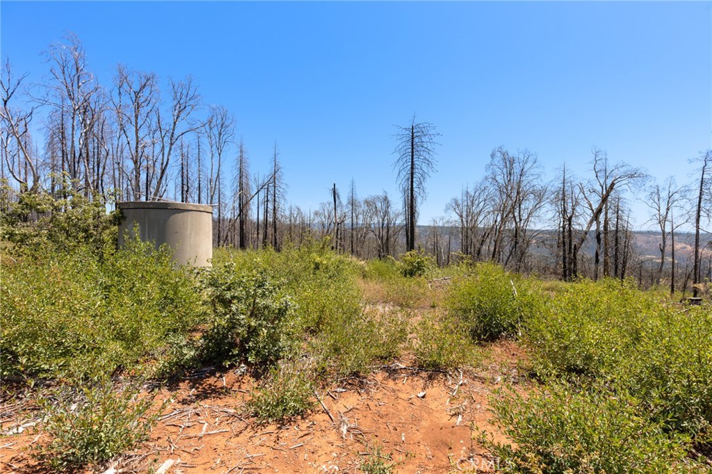 335 Mann And Nolta Ridge Property Photo 16